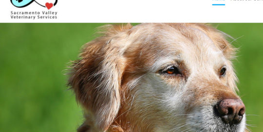 Sacramento Valley Veterinarian Services